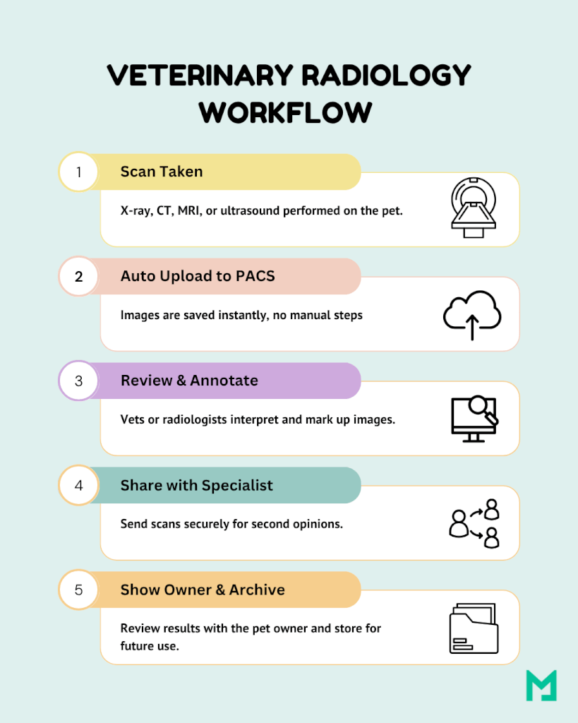 flux de travail en radiologie vétérinaire