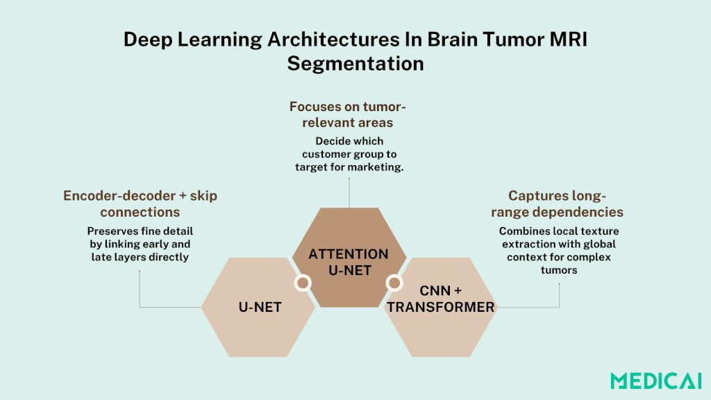 segmentation mri apprentissage profond